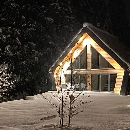 Chalet Belveder Horska Chata Železná Ruda Exteriör bild