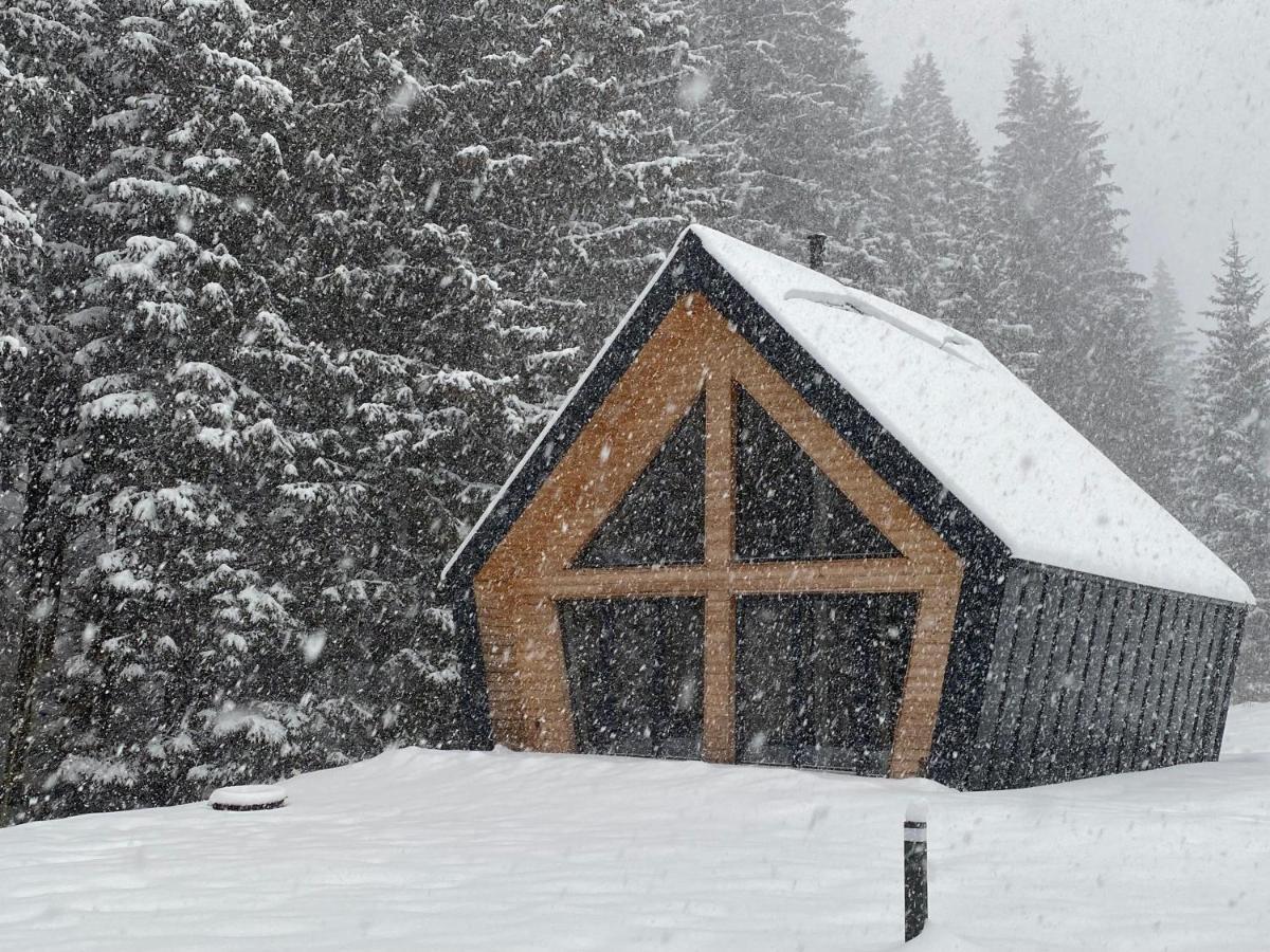 Chalet Belveder Horska Chata Železná Ruda Exteriör bild