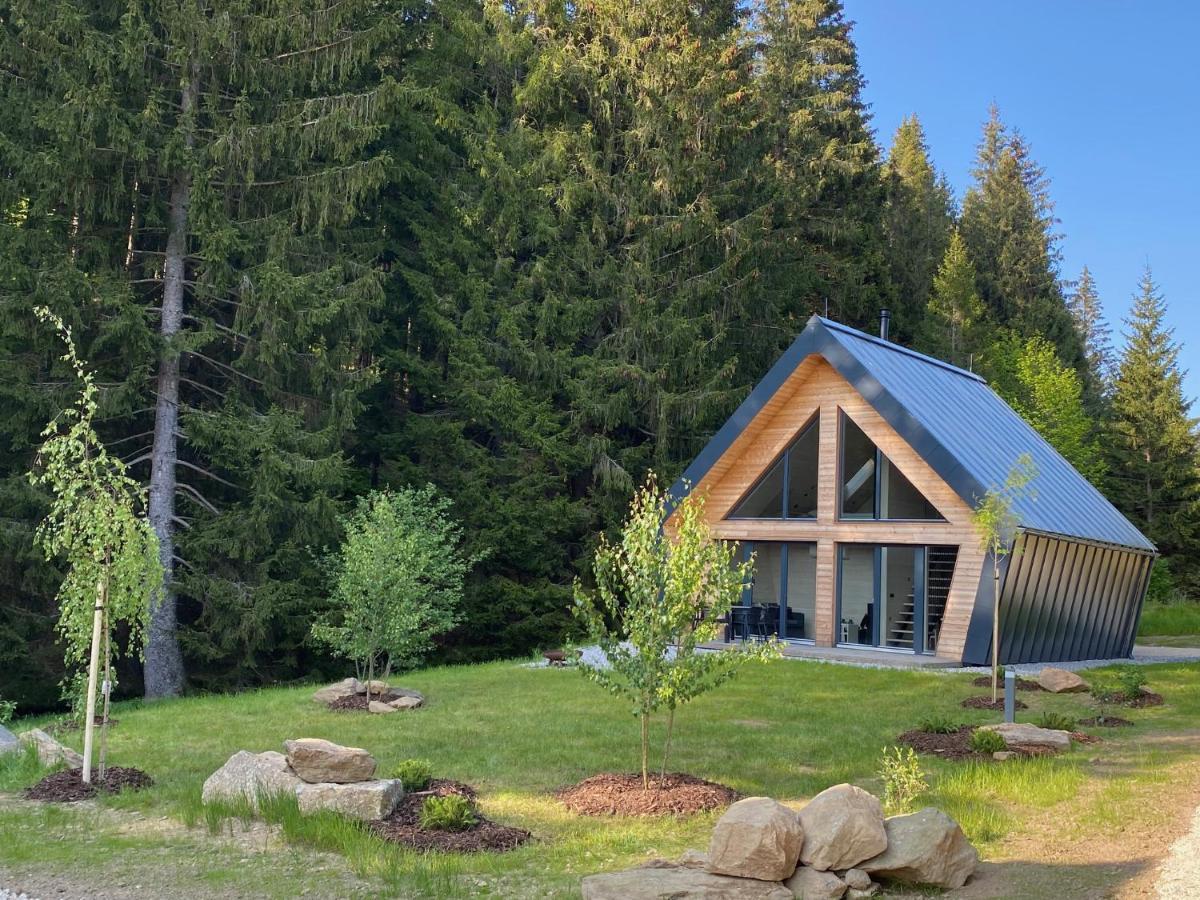 Chalet Belveder Horska Chata Železná Ruda Exteriör bild