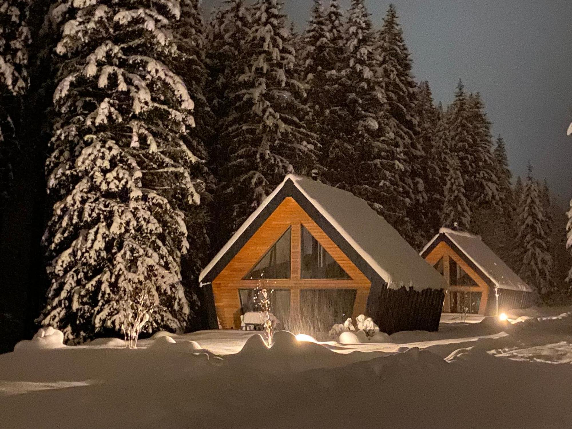 Chalet Belveder Horska Chata Železná Ruda Exteriör bild